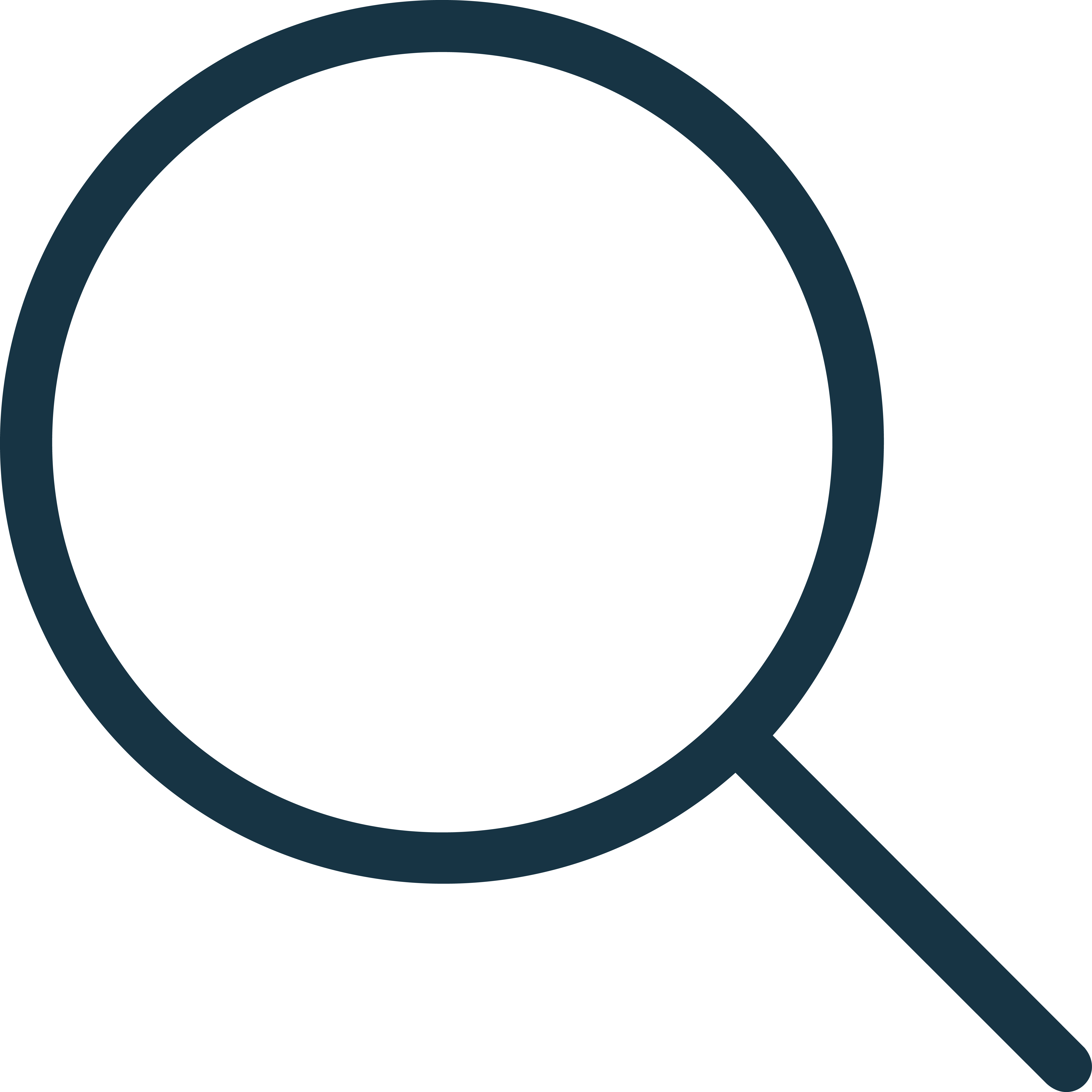 Search